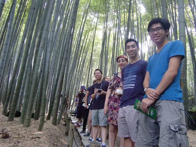At the bamboo grove at Kamakura