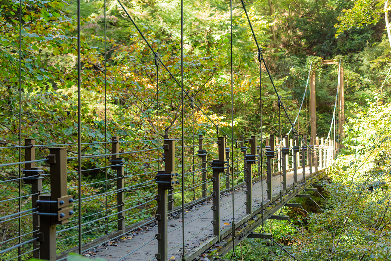 Mount Takao suspension bridge