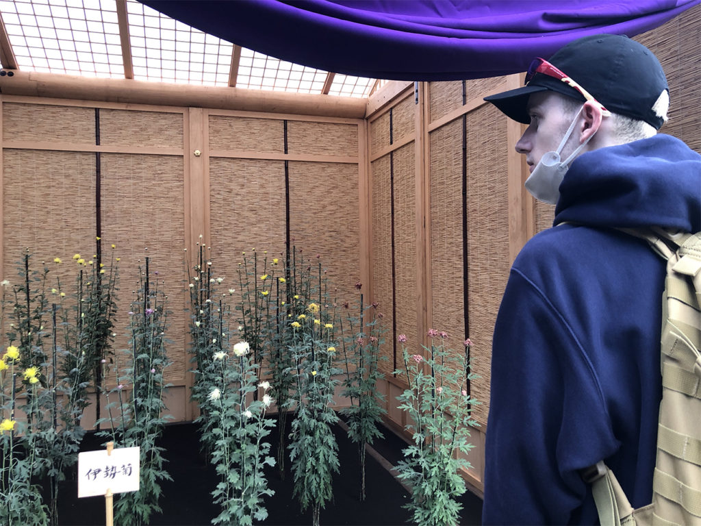 Travis Kershner at chrysanthemum exhibition