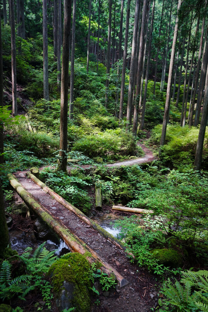 Kumano Kodo trail crossing a stream